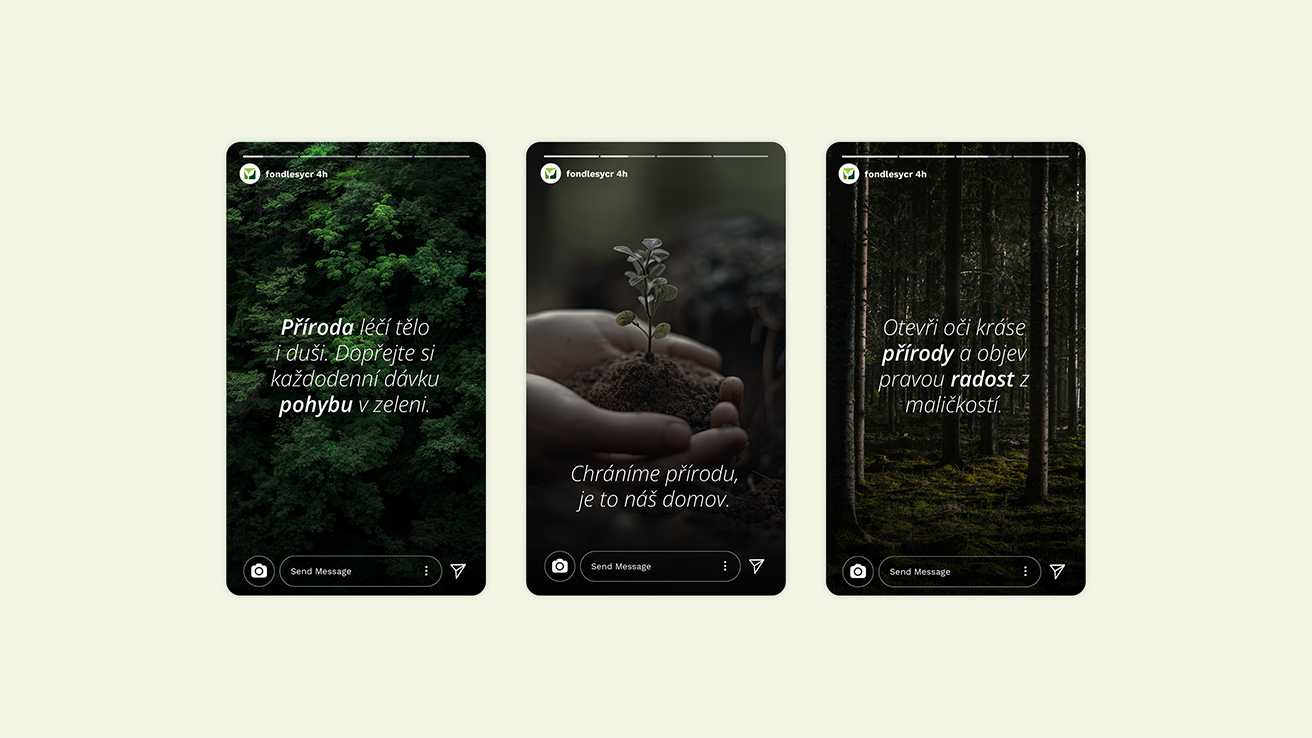 casestudy lesycr 010